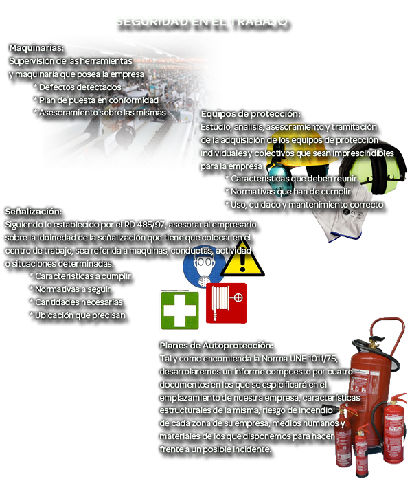 esquema seguridad